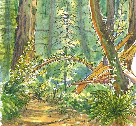 A guide for the journey: Pilgrim’s Progress