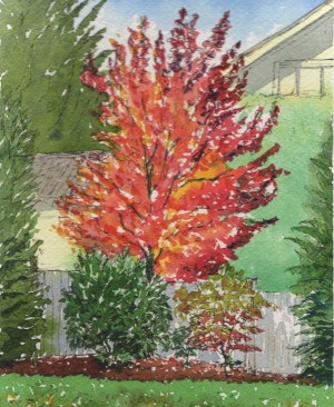 Paying attention to every moment on the journey